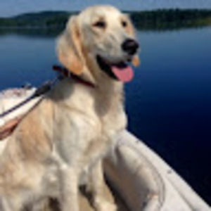 Meet your Posher, Steve